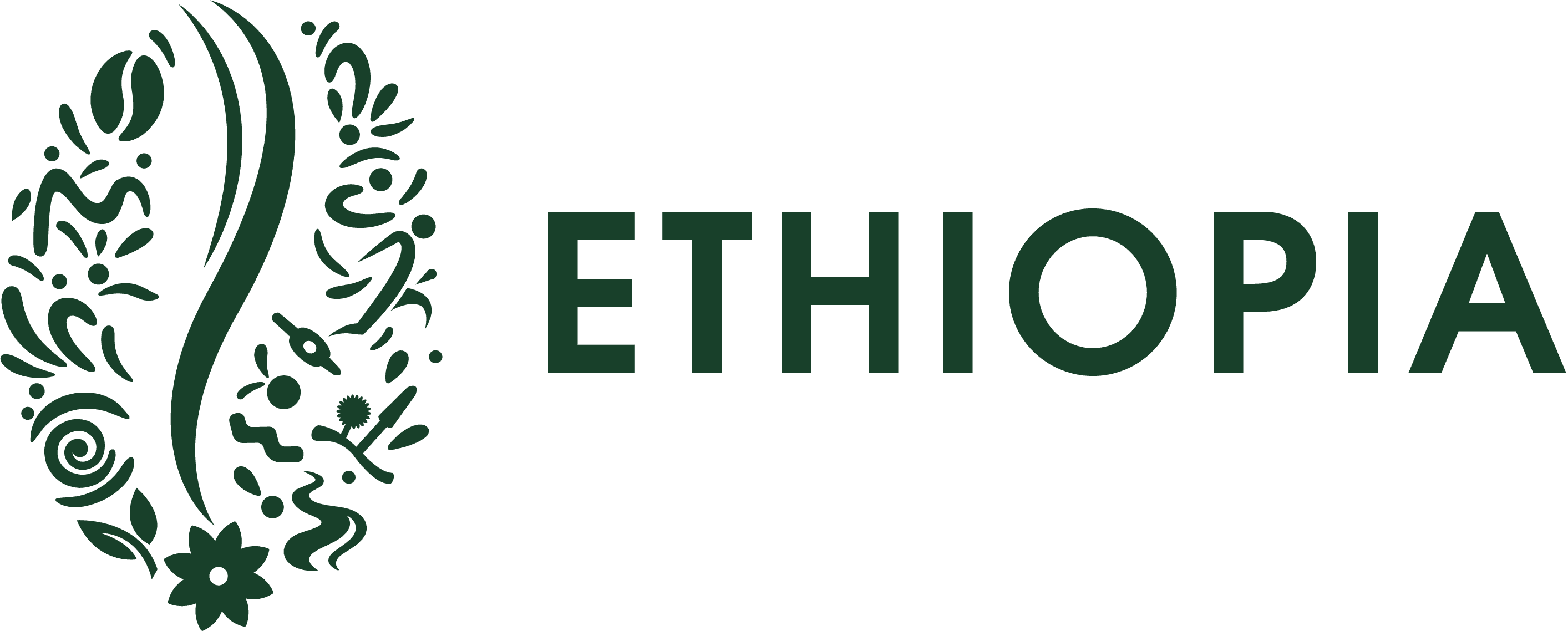 Ethiopia — land of origins, primary lockup