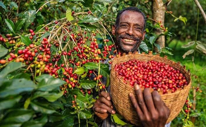 Origin of Coffee